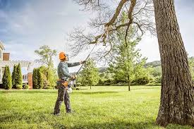 Leaf Removal in Heartland, TX