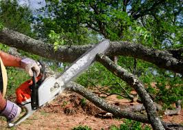 Best Utility Line Clearance  in Heartland, TX