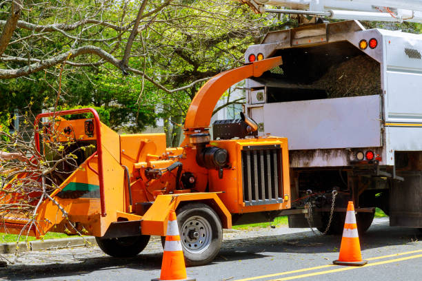 Best Tree and Shrub Care  in Heartland, TX