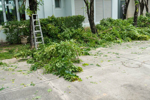 Heartland, TX Tree Services Company